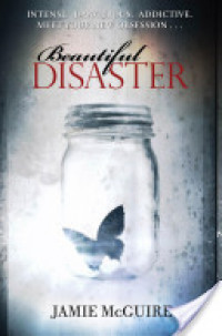 Image of Beautiful Disaster