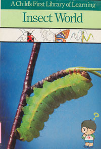 Image of Insect World
