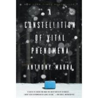 A Constellation of Vital Phenomena