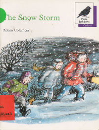 The Snow Storm