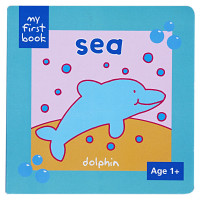 Image of Sea: dolphin