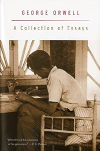 Image of A collection of essays