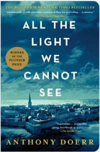 All the light we cannot see