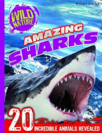 Image of Amazing sharks