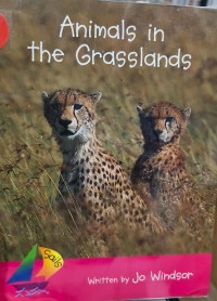 Image of Animals in the grasslands
