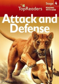 Image of Attack and defence