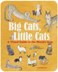 Image of Big cat, little cat: a visual guide to the world's cats