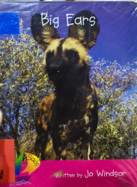 Image of Big ears