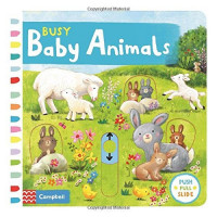 Busy baby animals
