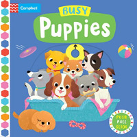 Busy puppies