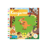 Busy kangaroo