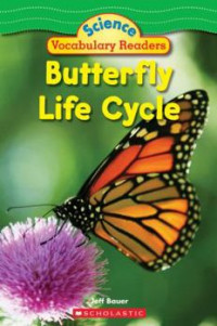 Butterfly life cycle