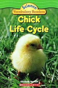 Image of Chick life cycle