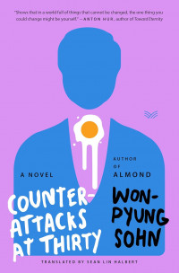 Image of Counterattacks at thirty: a novel