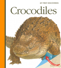 Image of Crocodiles