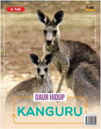 Image of Daur hidup kanguru