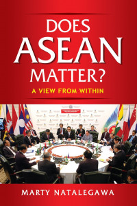Does ASEAN matter? a view from within