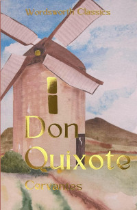Image of Don quixote