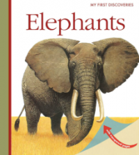 Image of Elephants