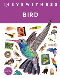 Eyewitness: bird