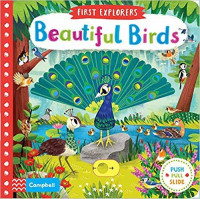 First explorers: beautiful birds