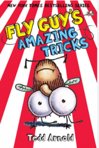 Image of Fly guy's amazing tricks