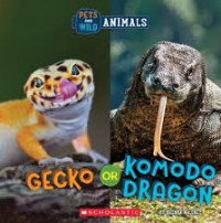 Image of Gecko or komodo dragon