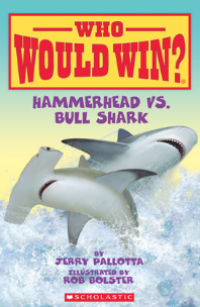 Hammerhead vs. bull shark