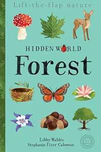 Hidden world: forest