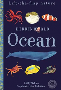 Hidden world: ocean