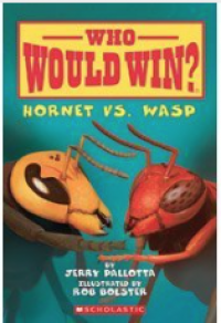 Hornet vs. wasp