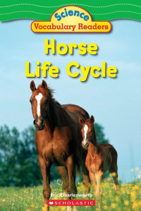 Image of Horse life cycle
