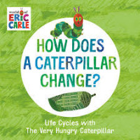 Image of How does a caterpillar change?