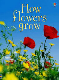 How flowers grow