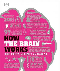 How the brain works: the facts visually explained