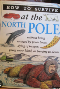Image of How to survive at the north pole