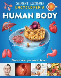 Image of Human body