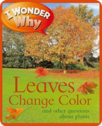 Image of Leaves change colour and other questions about plants