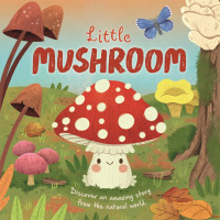 Little mashroom