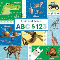 Image of Look & Learn: ABC & 123