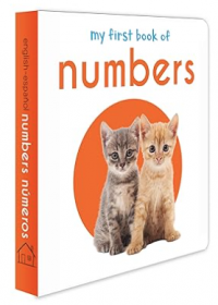 My first book of numbers