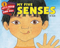 Image of My five senses