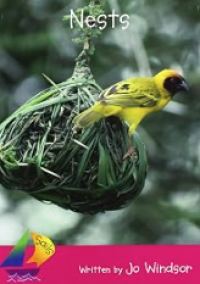 Image of Nests