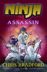 Ninja: assassin