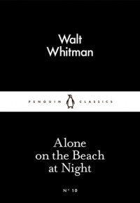 Image of On the beach at night alone