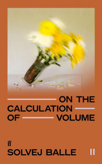 Image of On the calculation of volume II