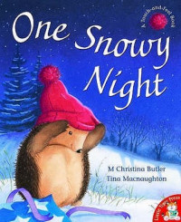 One snowy night