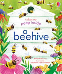 Peep inside a beehive