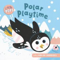 Image of Polar playtime