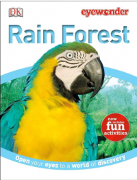 Image of Rainforest